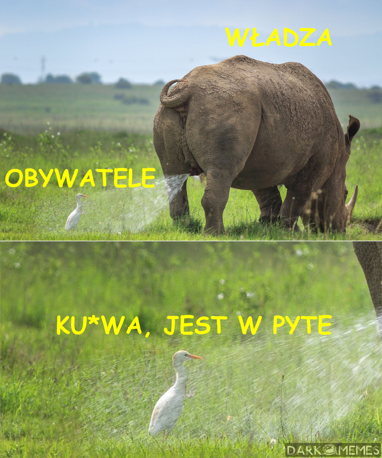  ‎‏‏‎ ‎