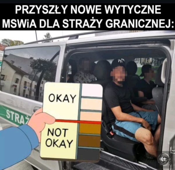 Wytyczne