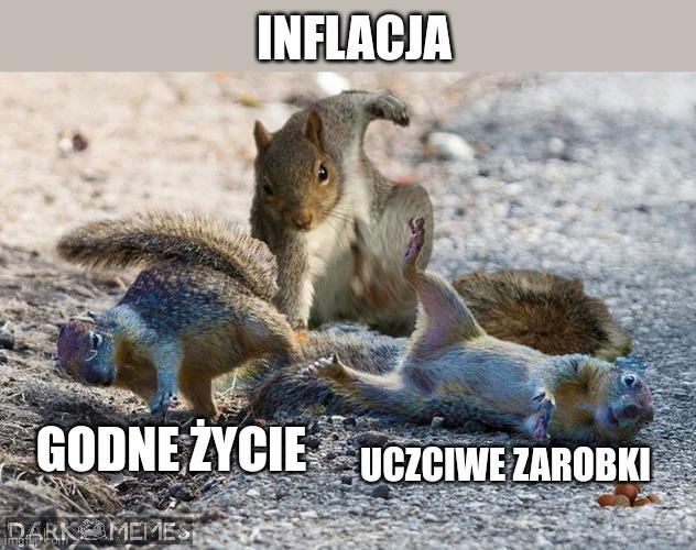 Polacy