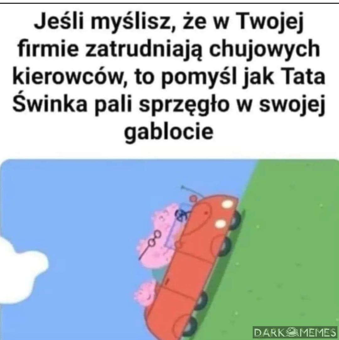 #16965319