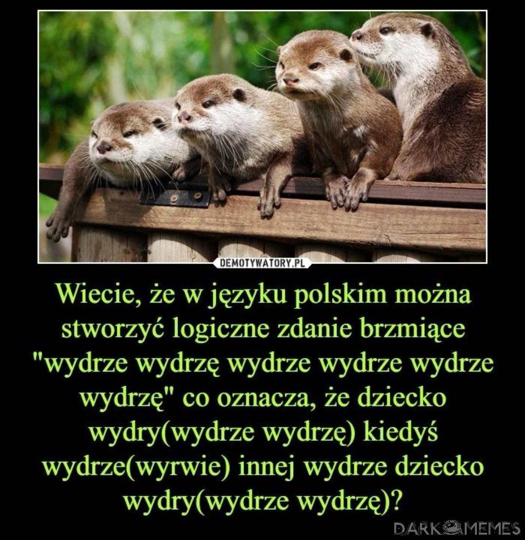 Nie pilnowali to zajebałem 