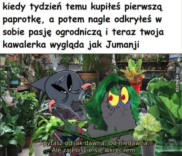 Elo