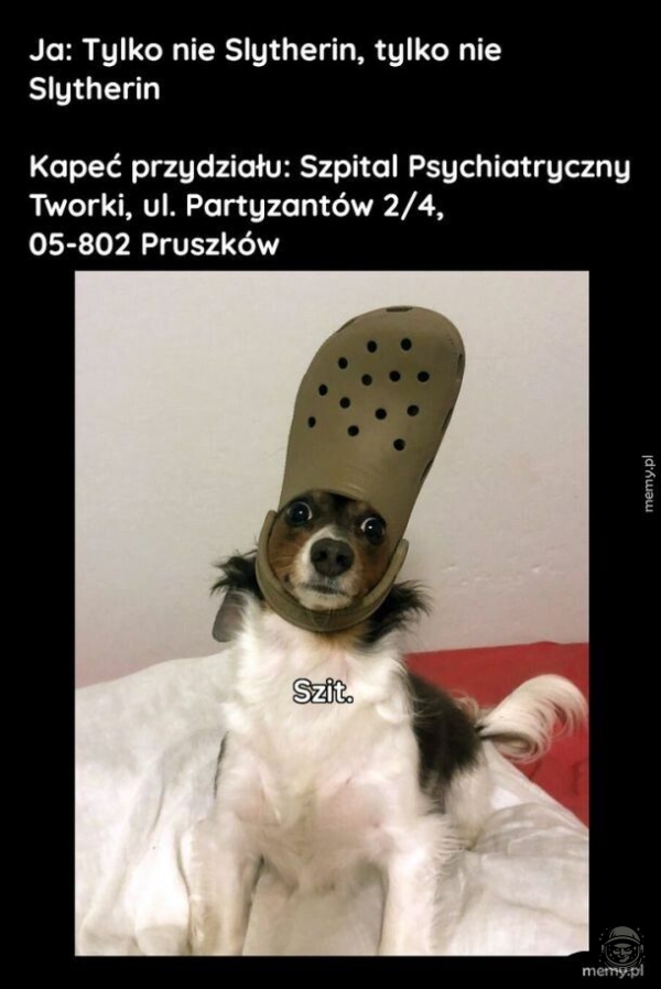 Old but gold