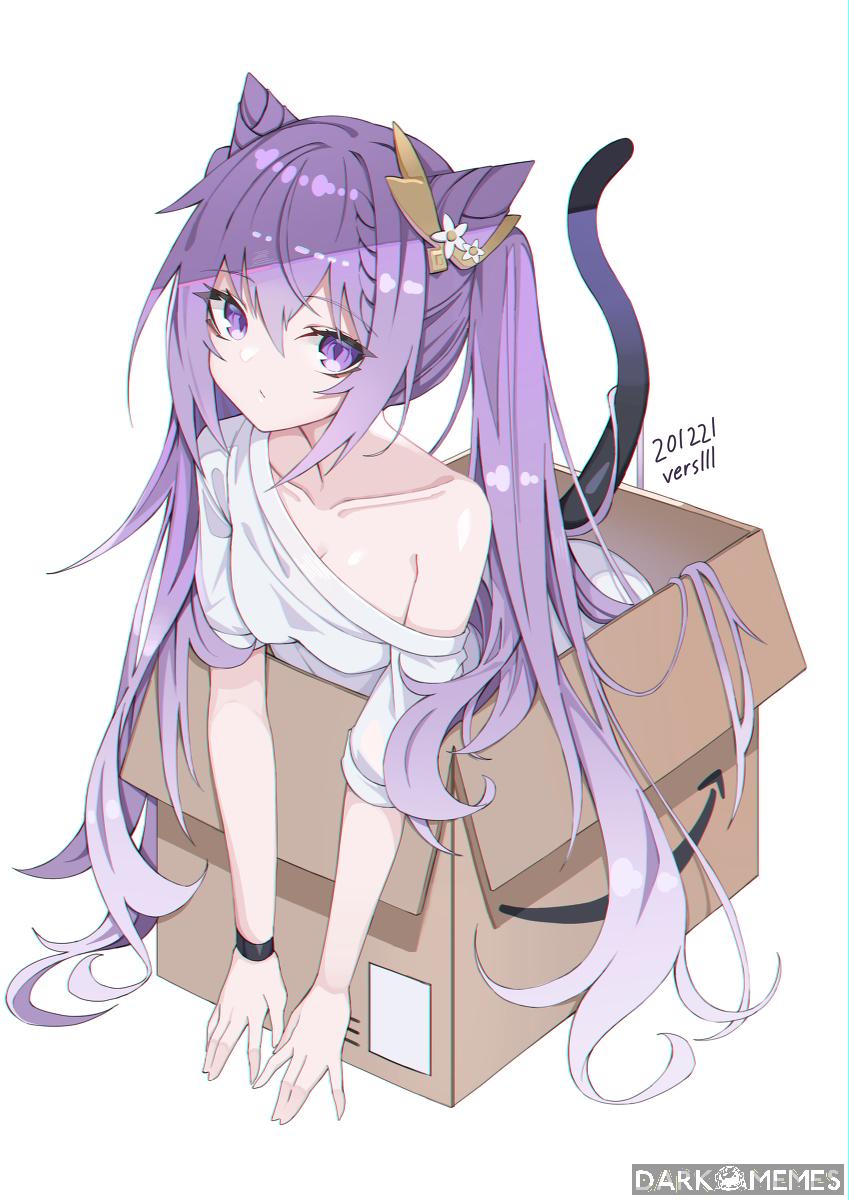 Catqing